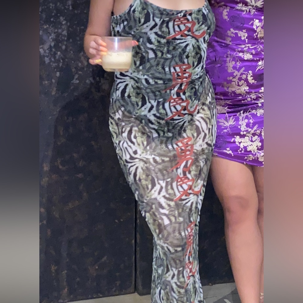 Missguided Zebra Print Maxi Dress